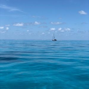 Meet your Posher, Bishop